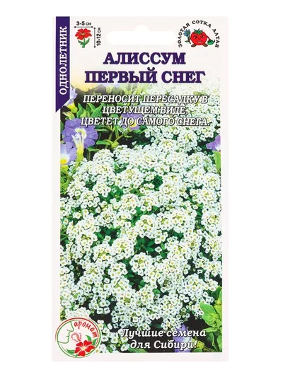 Семена Алиссум «Первый снег» — для огород — фото 6