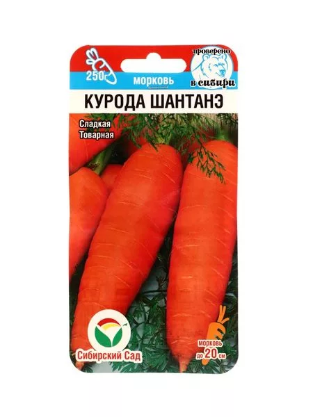 Семена Морковь «Курода Шантанэ» — для огород — фото 6
