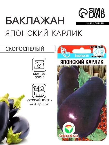 Семена Баклажан «Японский карлик» — для огород