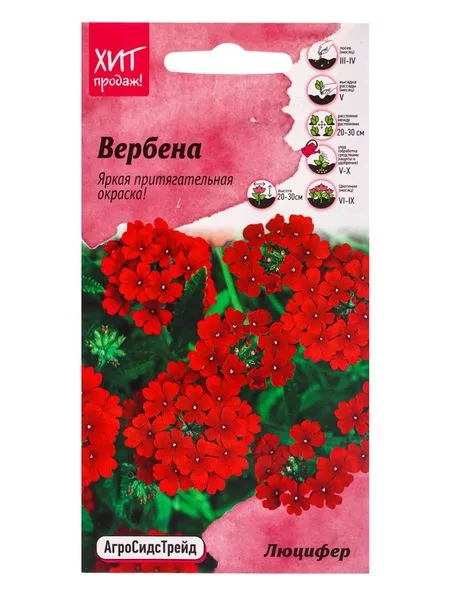 Семена цветов Вербена «Люцифер» — для огород