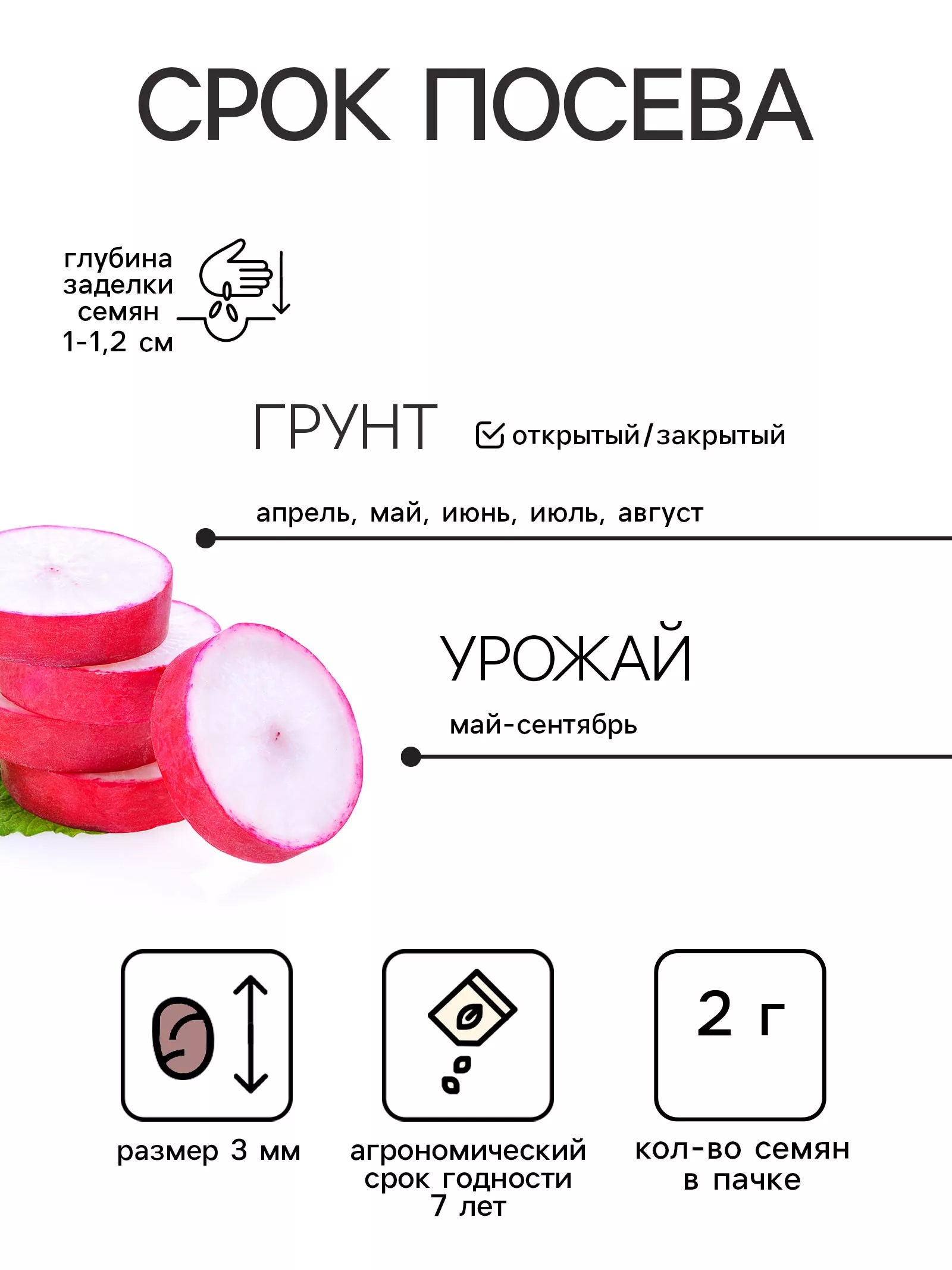 Семена Редис «Снежок» — для огород — фото 2