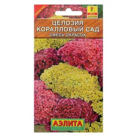 Семена цветов Целозия гребенчатая «Коралловый сад» — для огород