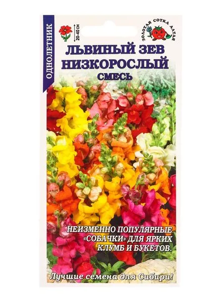 Семена цветов Львиный зев «Низкорослый» — для огород