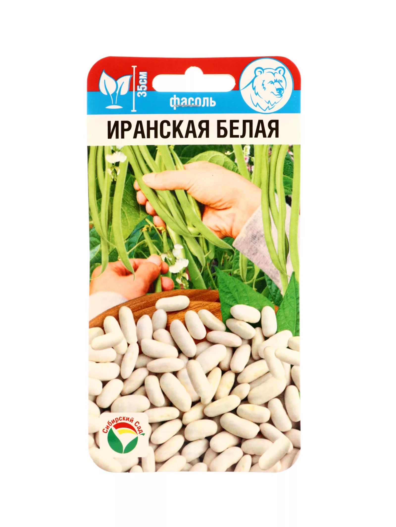 Семена Фасоль «Иранская белая» — для огород