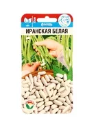 Семена Фасоль «Иранская белая» — для огород — фото 5