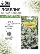 Семена цветов Лобелия ампельная "Белый каскад" — для огород — фото 8