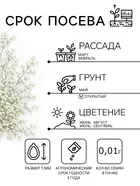 Семена цветов Лобелия ампельная "Белый каскад" — для огород — фото 9