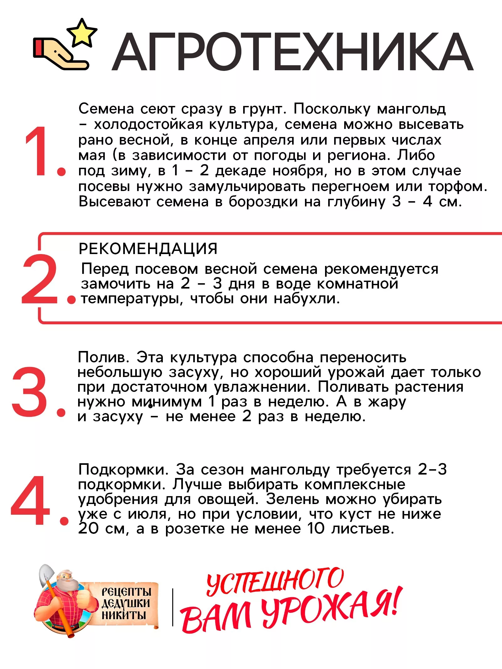 Семена Мангольд «Павлиний хвост» — для огород — фото 4