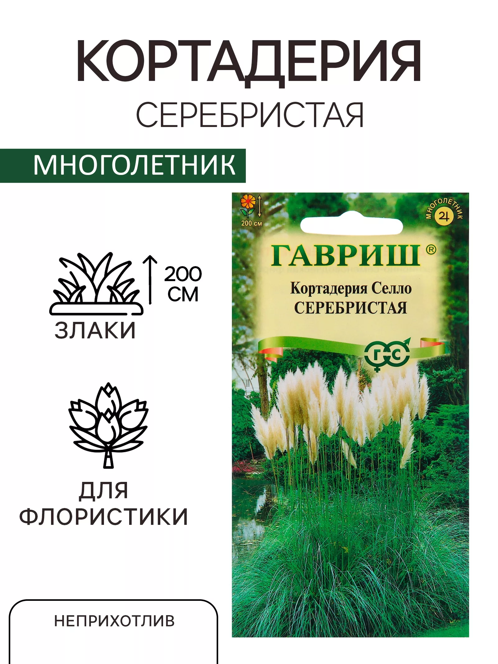 Семена Кортадерия Селло Серебристая «Пампасная трава» — для огород