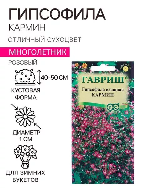 Семена цветов Гипсофила изящная «Кармин» — для огород