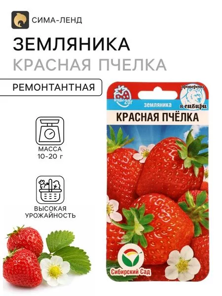 Семена Земляника «Красная пчелка» — для огород