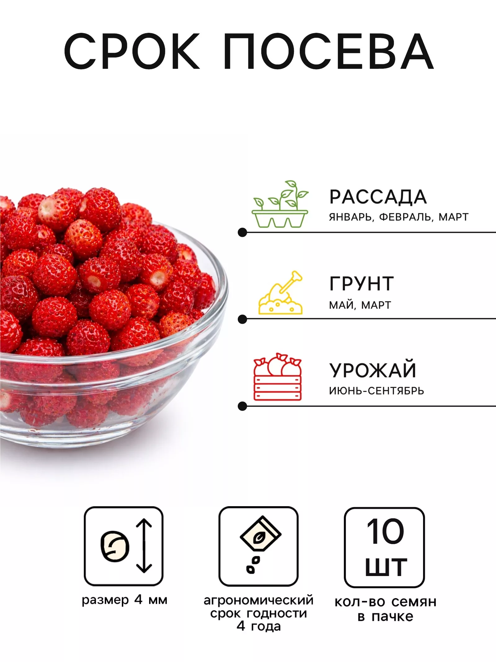 Семена Земляника «Красная пчелка» — для огород — фото 2