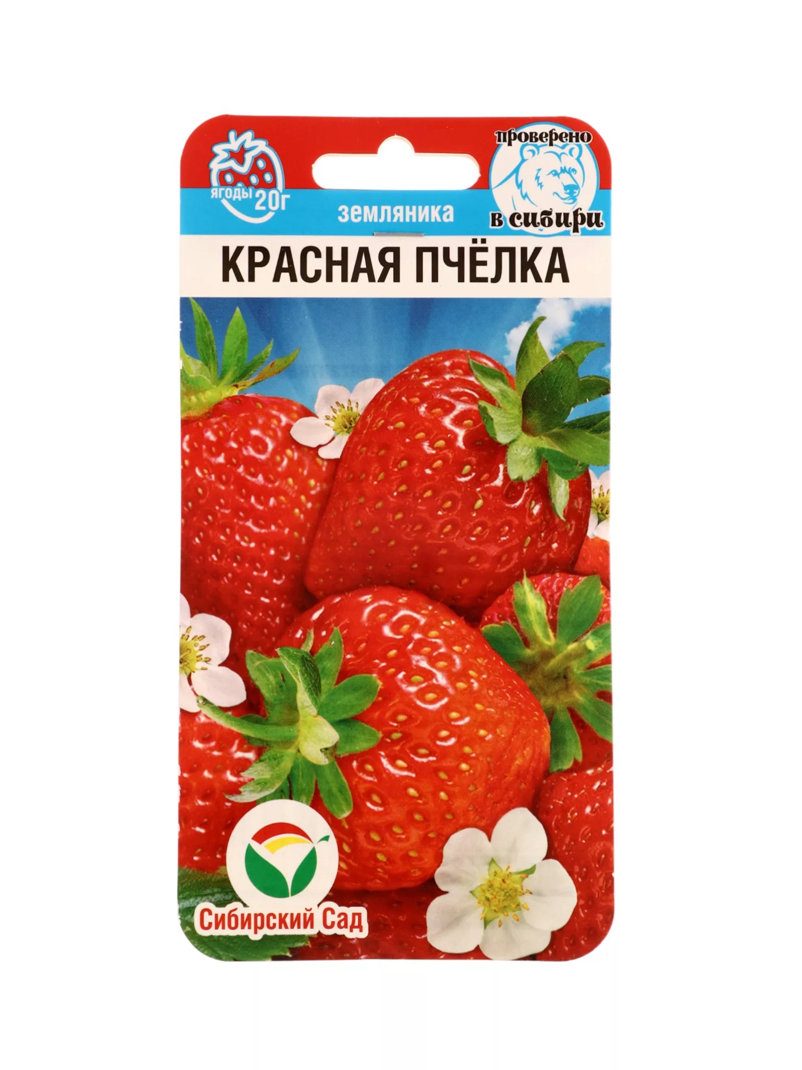 Семена Земляника «Красная пчелка» — для огород — фото 5