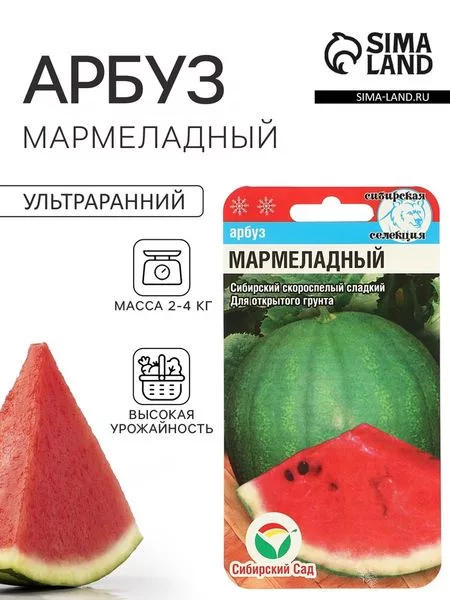 Семена Арбуз «Мармеладный» — для огород — фото 6