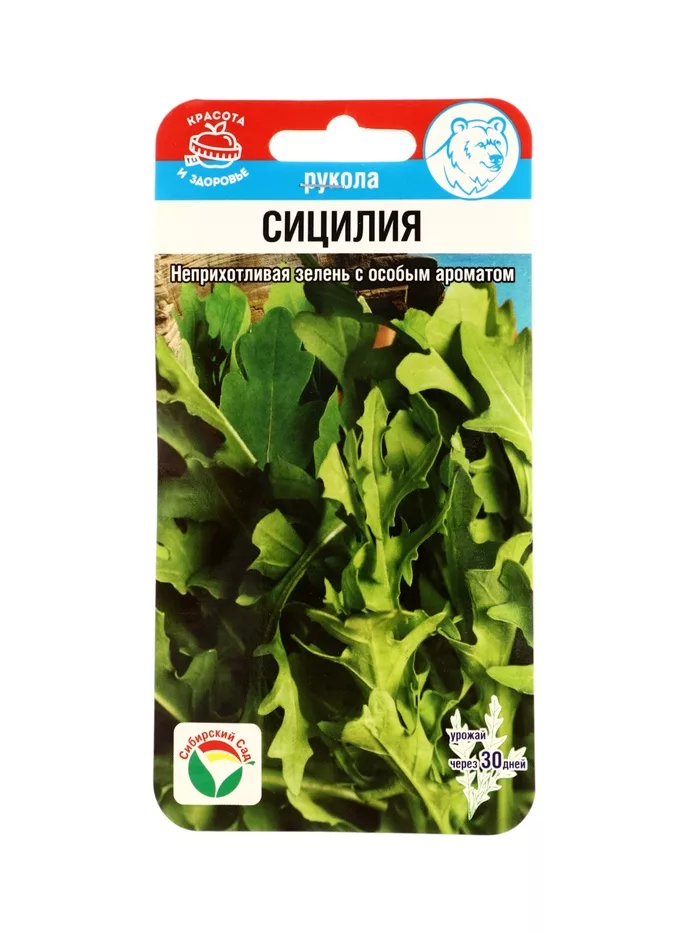 Семена Рукола «Сицилия» — для огород — фото 4