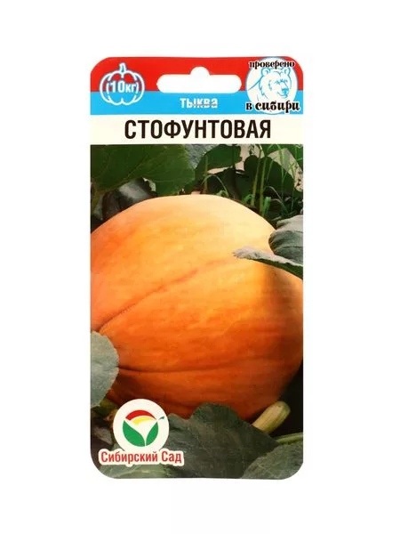 Семена Тыква «Стофунтовая» — для огород