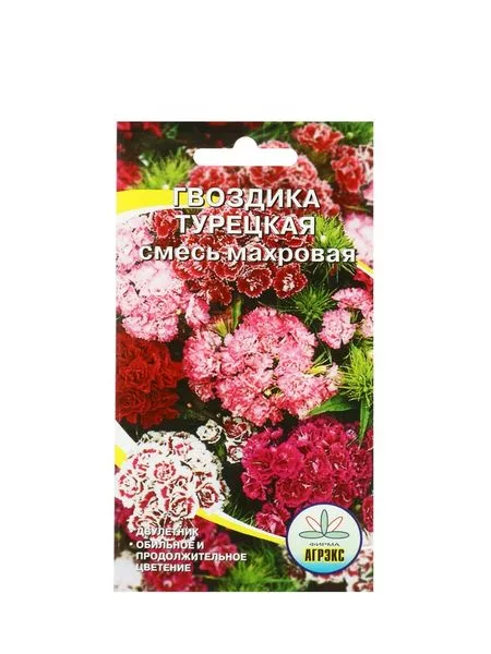 Семена цветов Гвоздика «Турецкая» — для огород