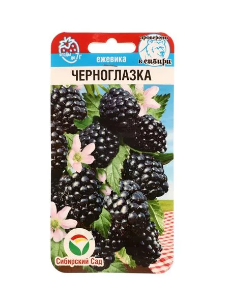 Семена Ежевика «Черноглазка» — для огород