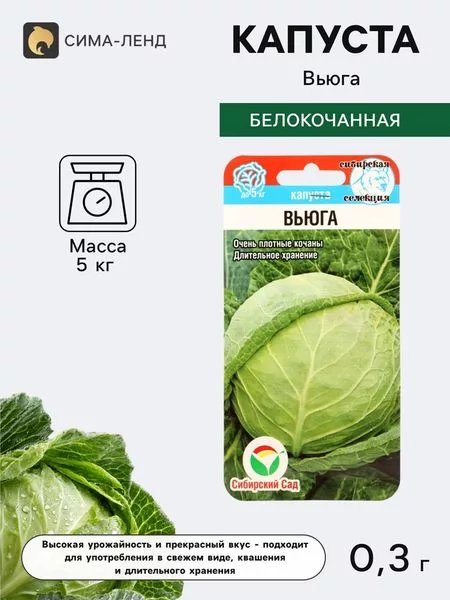 Семена Капусты белокочанной «Вьюга» — для огород