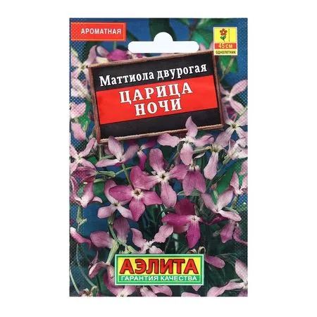 Семена цветов Маттиола "Царица ночи" — для огород — фото 6