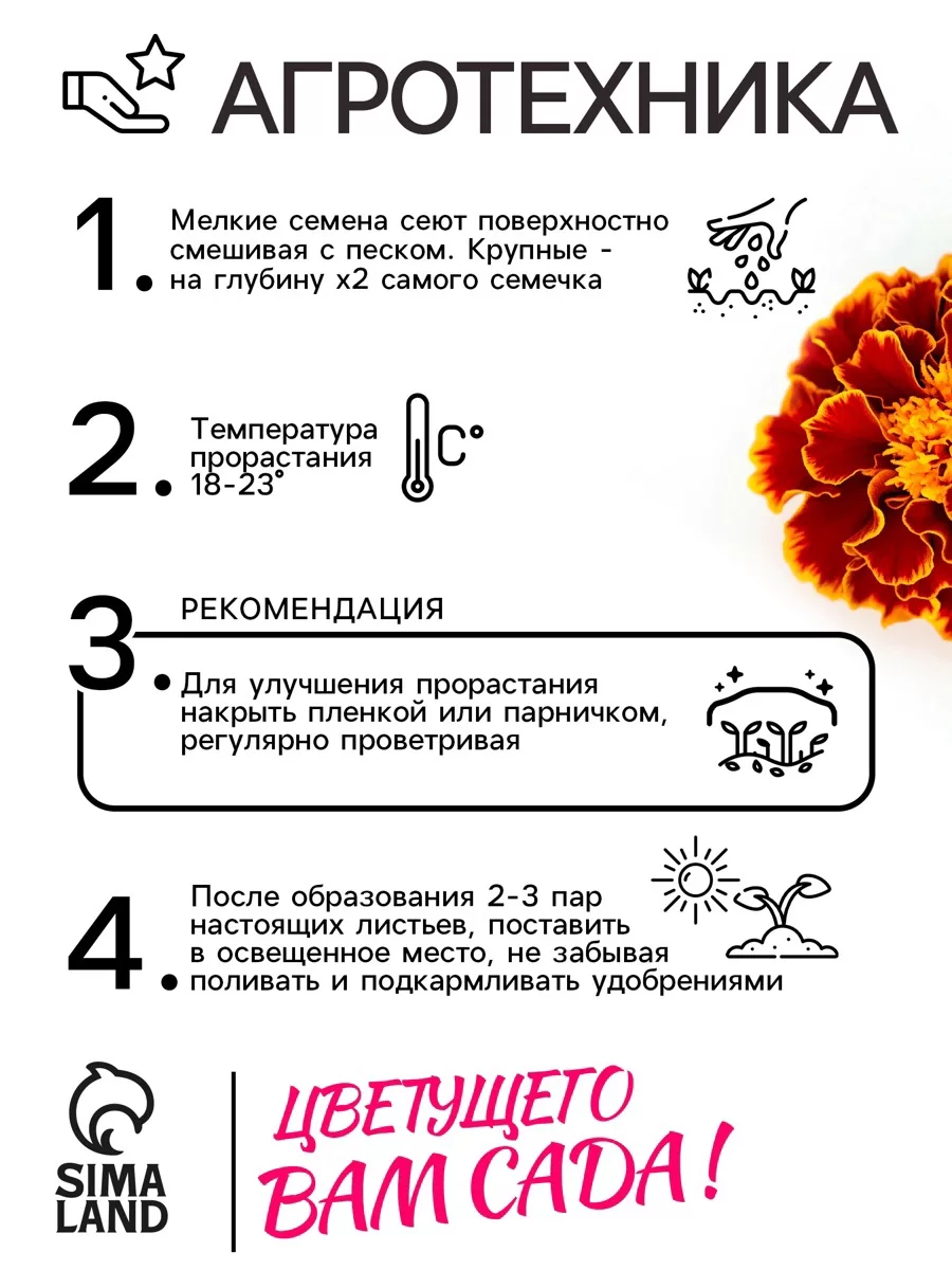 Семена цветов Бархатцы «Болеро» — для огород — фото 5