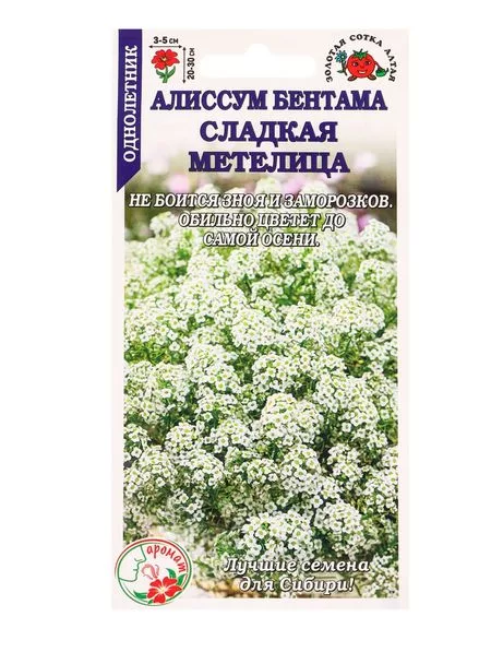 Семена Алиссум бентама «Сладкая метелица» — для огород