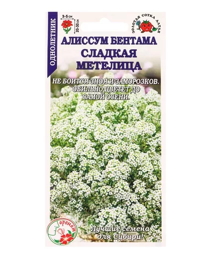 Семена Алиссум бентама «Сладкая метелица» — для огород — фото 6