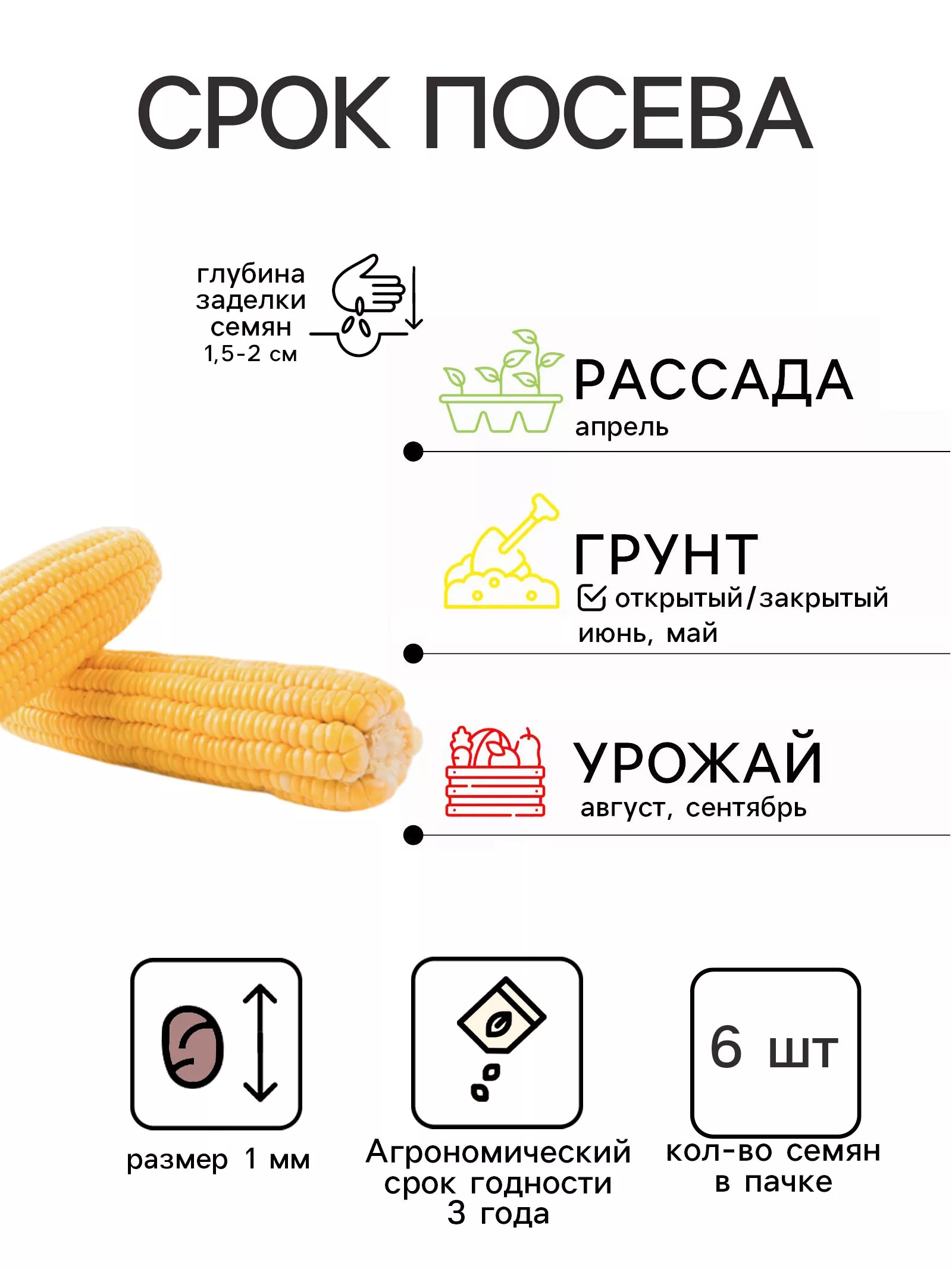 Семена Кукуруза «Супер Сладкая» — для огород — фото 2
