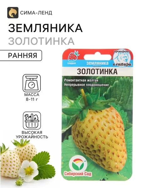 Семена Земляника ремонтантная «Золотинка» — для огород