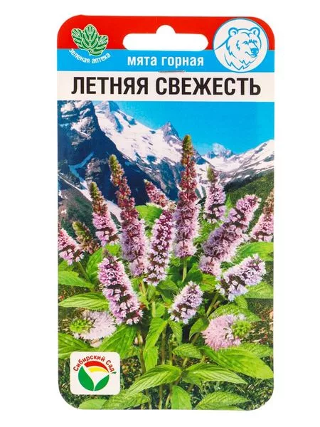 Семена Мята «Летняя свежесть» — для огород