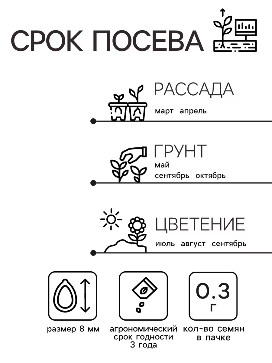 Семена Астра «Принцесса Кристина» — для огород — фото 2