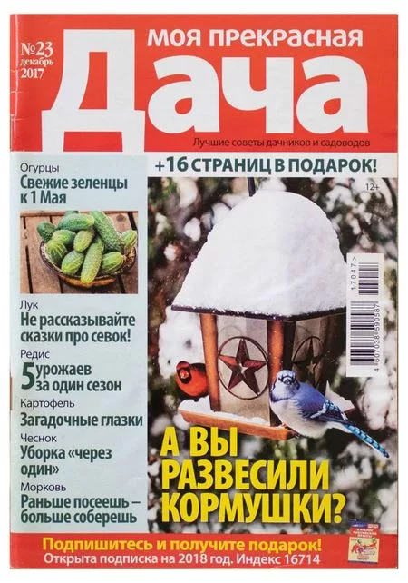 Журнал Моя прекрасная дача — для участок