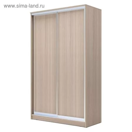 Шкаф - купе «Хит-24-14-11» — для хранение
