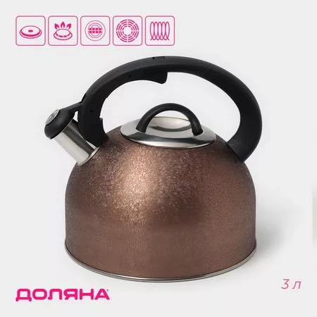Чайник Доляна Snow — для хранение