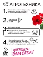 Семена комнатных цветов Глоксиния «Аванти» — для огород — фото 9