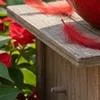 Милый Маленький Горшок для Суккулентов с Дренажным Отверстием Смоляной — для участок