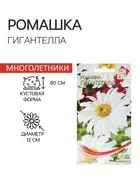 Семена Ромашка "Гигантелла" — для огород — фото 8