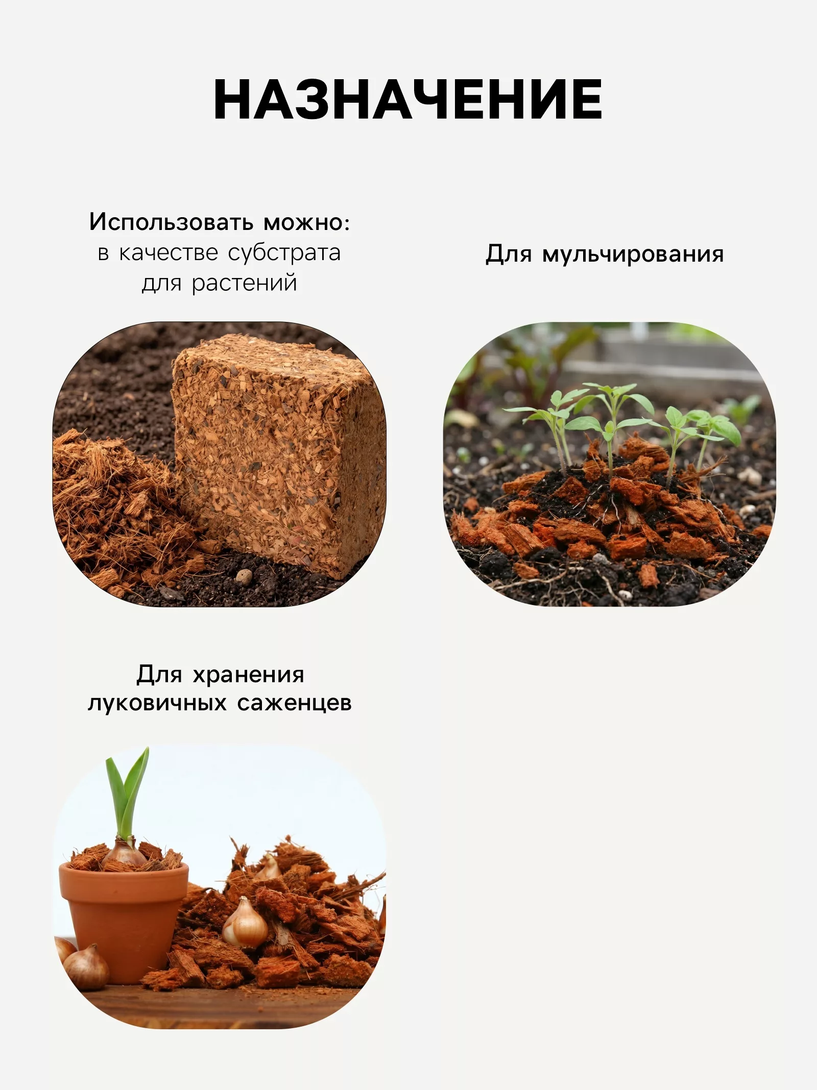 Кокосовые чипсы «Рецепты Дедушки Никиты» — для огород — фото 3