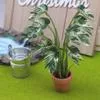 1/12 Миниатюра для кукольного домика Симуляция Монстеры Зеленое Растение в Горшке — для участок