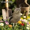 Садовый кол Кот Сова — для участок