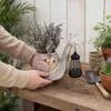 Горшок-статуэтка улитки Садовый фонарь на солнечной батарее Милая улитка серый — для декор