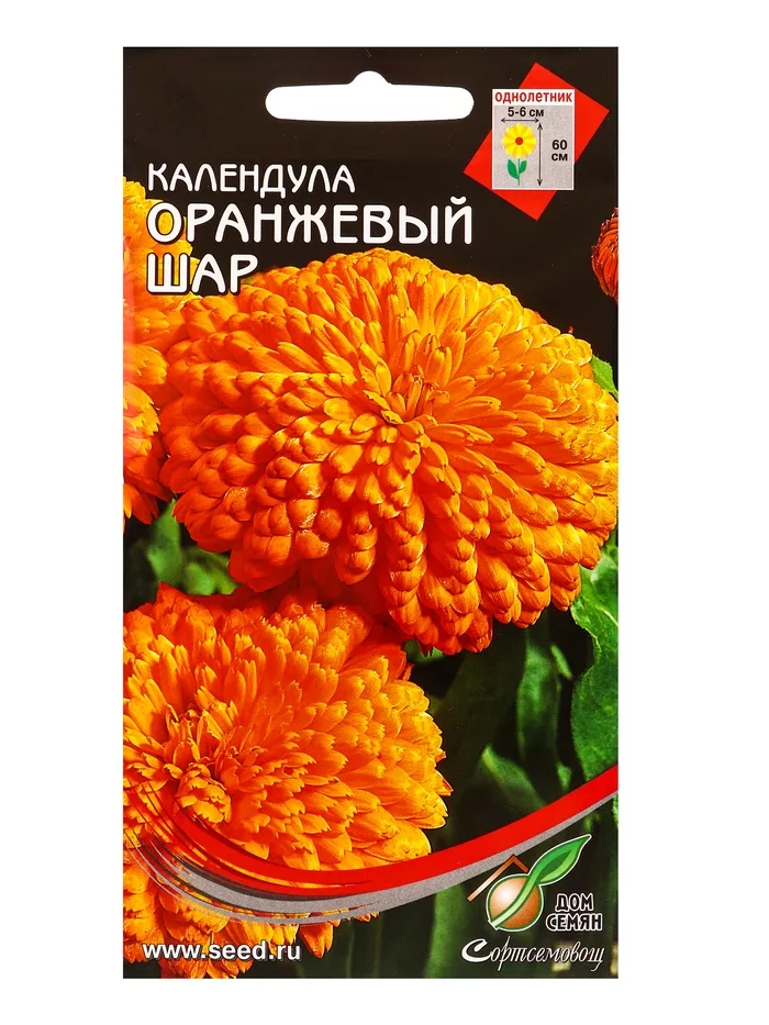 Семена цветов Календула «Оранжевый Шар» — для огород — фото 3