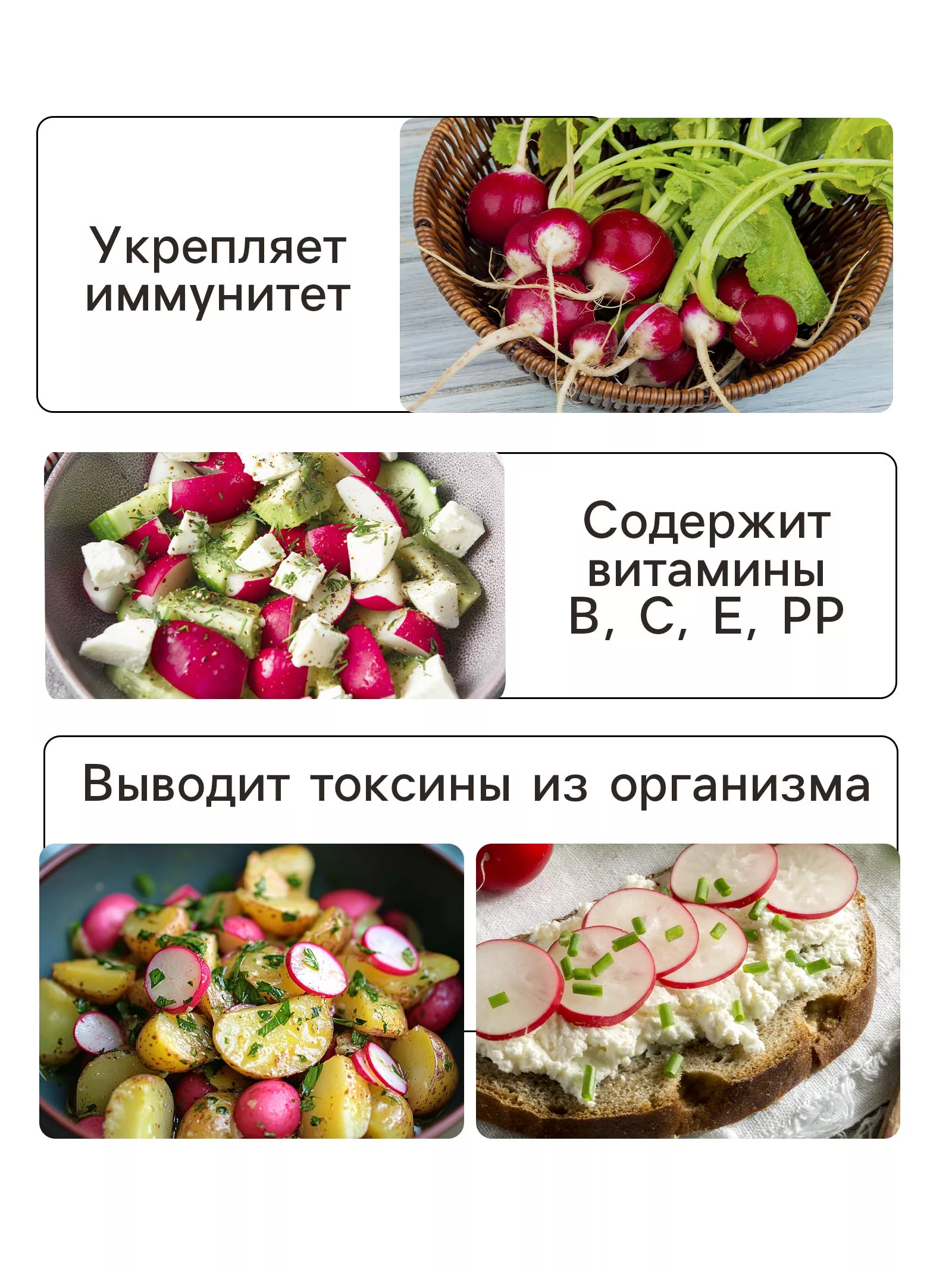 Семена Редис «Скороспелая черешня» — для огород — фото 3