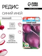 Семена Редис Синий иней — для огород — фото 9