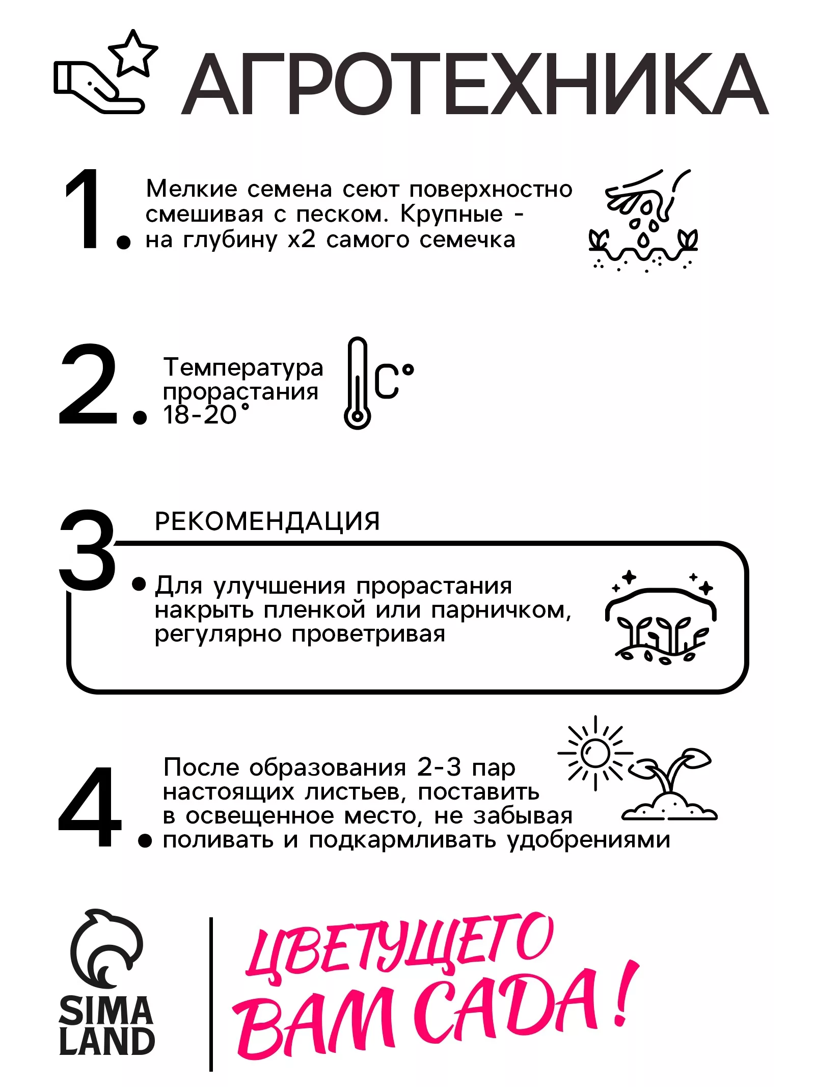 Семена Кореопсис «Великан» — для огород — фото 4