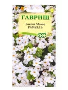 Семена цветов Бакопа Манье «Рафаэль» гранулы — для огород — фото 4