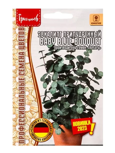 Семена Эвкалипт припудренный Baby Blue Bouquet 3 шт. / 12.29 г — для огород — фото 6