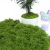50 г Искусственный мох DIY Поделки Трава — для участок