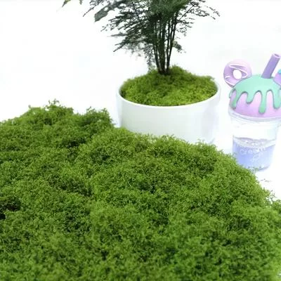 50 г Искусственный мох DIY Поделки Трава — для участок — фото 3