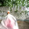 защита от птиц и насекомых — для инструмент — фото 5